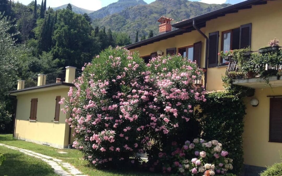 Bed & Breakfast Casa Pini