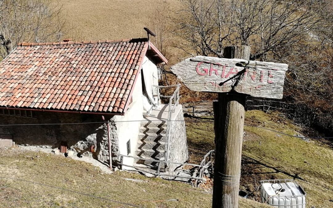 Escursione Griante – Bocchette di Nava