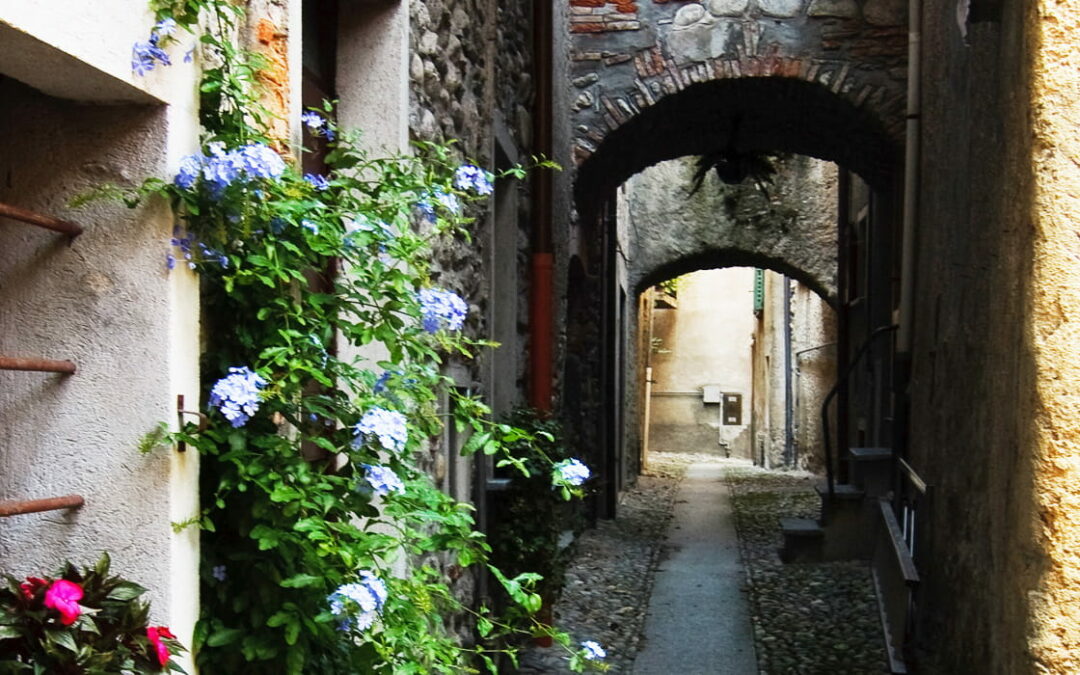 Via Francigena Romana